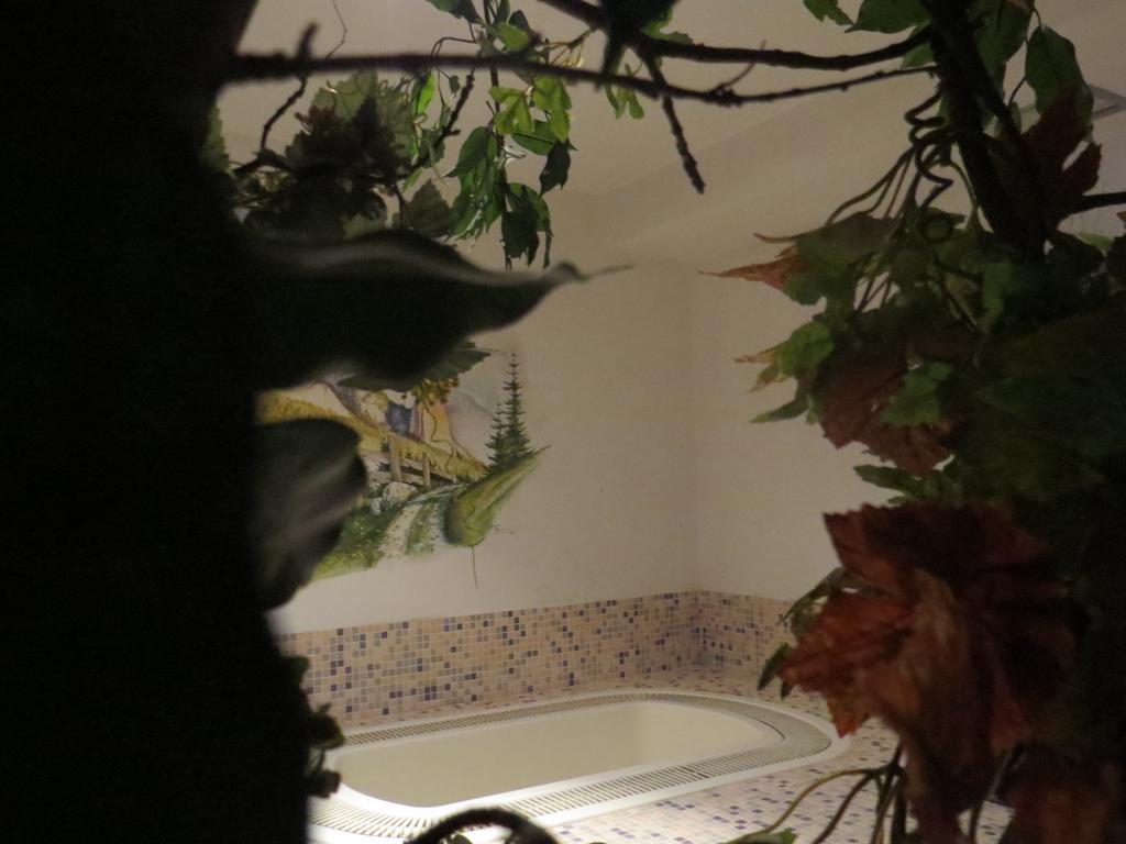 ויגו די פאסה Hotel Cima Dodici מראה חיצוני תמונה